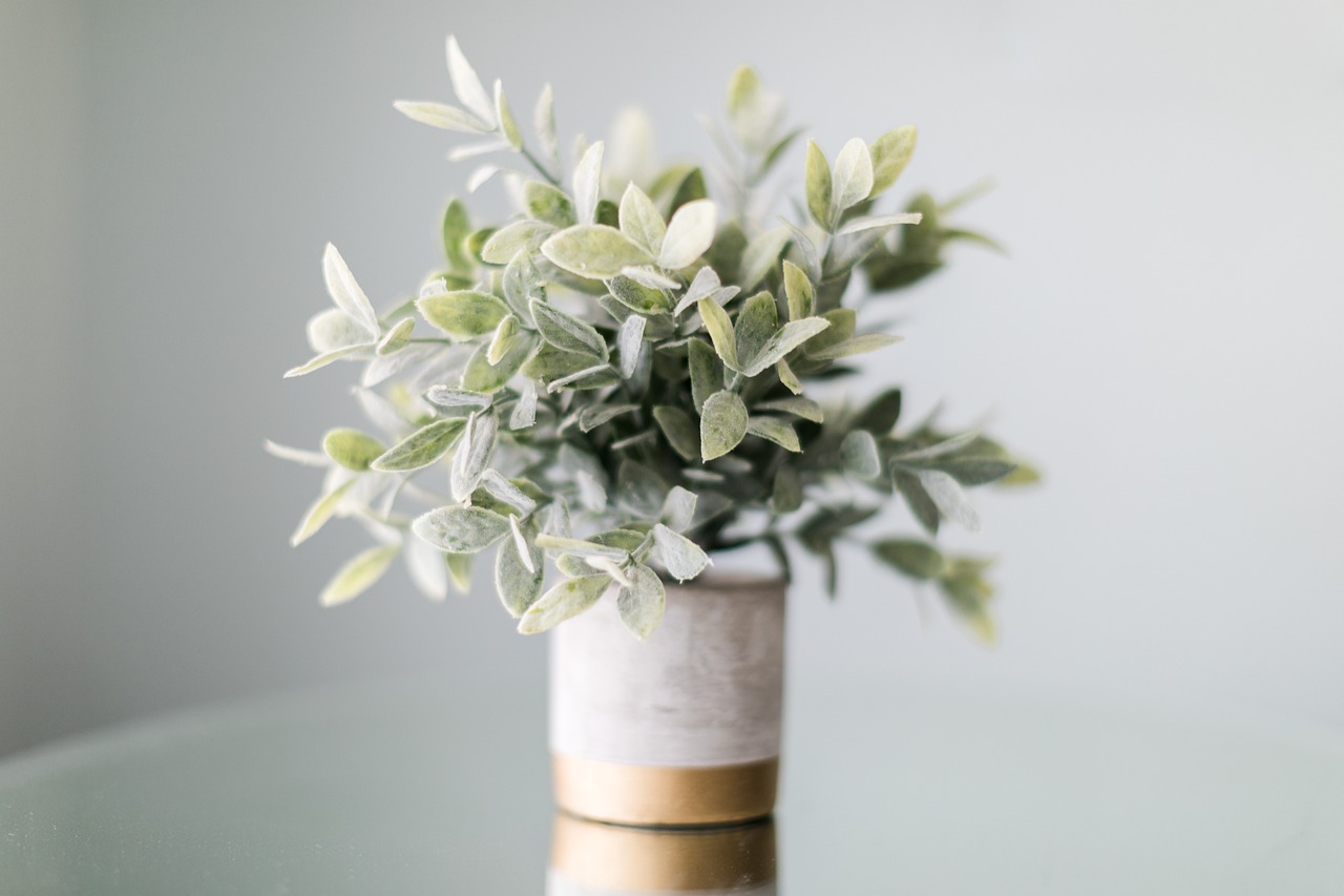 Indoor Gardening Tips for Winter Months